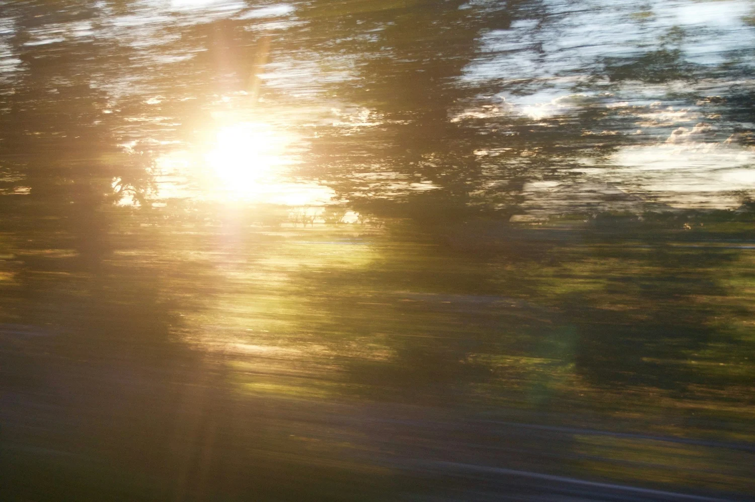 Blurred trees and sunlight reflecting on water, seen from a moving vehicle